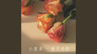 素月共影