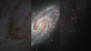 IC 1954  — Hubble Space Telescope #shorts