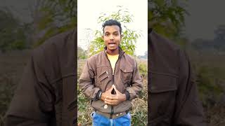Blur Your Video Background In Any Android Device 🔥🔥 #shorts #viral #shortsvideo #shortvideo
