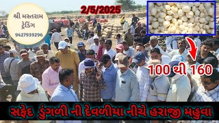 શુક્રવાર ની બજાર #મહુવા 2/5/25 #mahuva#onion#agribusiness#import#agriculture#farming#business#export