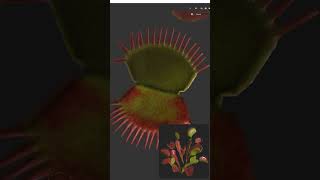 Texturing a venus fly trap in Substance Painter 🌱 #3dart #substancepainter #plant #adobe #texture