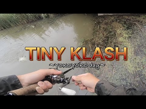 【TINY KLASH】ヨコヨコしてたら水面からピョコ！！〜マッチ・ザ・ベイトを求めて〜