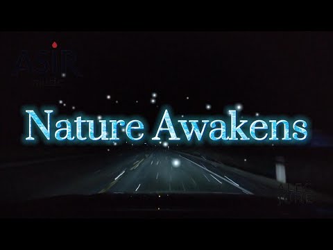 Intelligent Forest