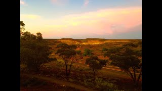 The Sun  Planetary and personal healing