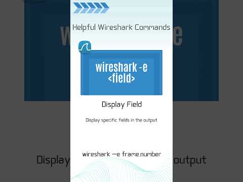 Wireshark Command Display Field