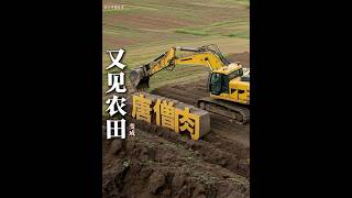 又见农田变成“唐僧肉” #耕地#保护农田#十八亿亩耕地红线