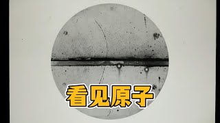 人类是怎么“看见”原子的？ #知识科普 #科普 #科学