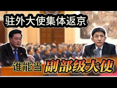 中国17位副部级大使是怎样分批产生的？驻世贸大使李成钢晋升正部级释放什么信号？