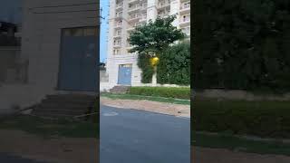 #noida #delhi #mahagun
