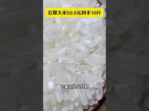 大米 五常稻花香 香米 五常大米