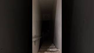 They found a SECRET TUNNEL under their floor!?