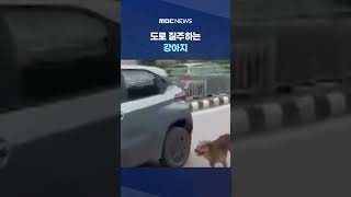 "버리지 마세요‥" #Shorts (MBC뉴스)