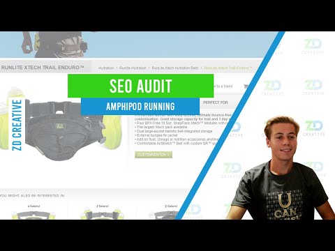 Amphipod Running SEO Audit