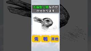 これが見えたらあなたはたぶん？ #性格#テスト