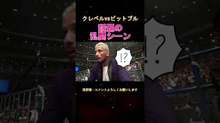 【クレベル vs ピットブル】乱闘シーンが遂に公開される・・・　RIZIN　#shorts