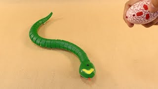 Remote Control SNAKE | RC Snake UNBOXING and PRANK!!