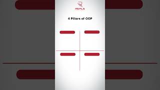 Pillars of OOP #developer #javascript #education #logo #job #css #replatech #shorts #IT