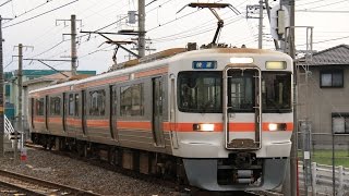 【身延線橋りょう架け替え工事】臨時快速 東花輪行き 313系V7編成　常永駅通過