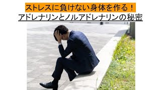 ストレスに負けない体を作る！アドレナリン＆ノルアドレナリンの秘密