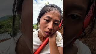 每天忙碌的生活，虽然去不了诗和远方，看不了星辰大海，世界上有许多幸福，但最大的幸福莫过于“山河无恙，世间皆安”，愿你我都如愿#我的乡村生活 #乡野田间 #勤劳的农村人 #农民真辛苦干活不容易