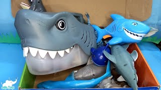 Educational shark toys for kids| Box Full of Sea aninal toys for toddlers