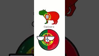 Capybara in different languages  #countryballs #Az_ball1 #capybara