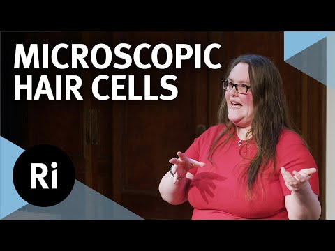 How microscopes have changed our lives - with Anwen Bullen