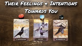 👯🌹Their Feelings & Intentions Towards You! Pick A Card Love Reading