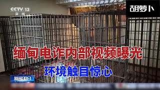 缅北诈骗地真实记录.....