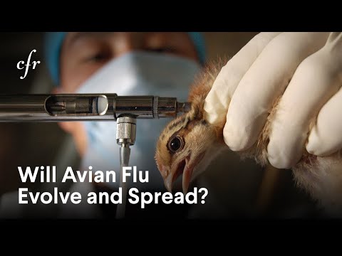 The Avian Flu Crisis and its Global Ramifications