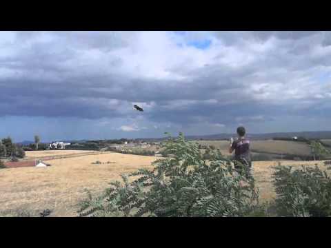 L'Aquilone... (How to fly a Kite)