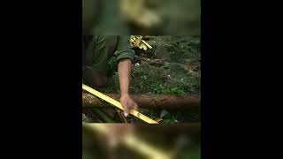 🌿 Build a Hidden Waterfall Shelter | 365 Days Off-Grid Survival in the Jungle 🏞️🔥