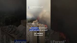 Brush fire rages near Jerusalem’s Ain Karem