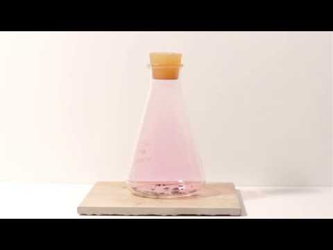 Solid Iodine in a Flask