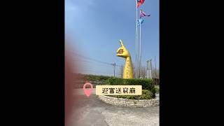 去求#發財金 還能有機會拿純金金牌？！炸全雞便當$160？！火雞媽媽帶小鵝的有機草莓園 #曹愛吃caocaoeatfoods #桃園大溪一日遊 #桃園