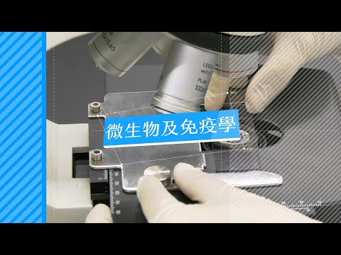 微生物及免疫學 - Lec04 實驗操作3 : 藥物敏感性試驗-紙錠擴散法 Experimental operation 3: Drug susceptibility testing- Disk...