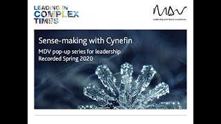 Virtual Learning Session 1 - Sense-making with Cynefin