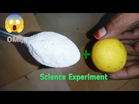 Easy Science Experiments to do at Home || Simple Science Experiments To do at School