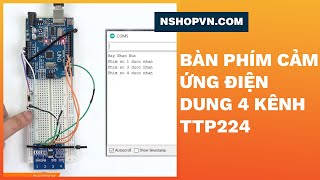 Bàn Phím Cảm Ứng Điện Dung 4 kênh TTP224(7BYM)#Shorts