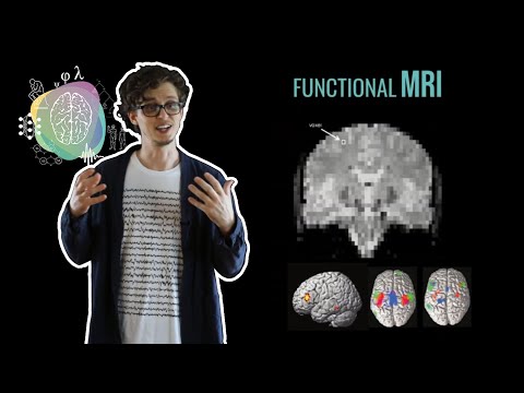 Visualizing the brain - functional neuroimaging