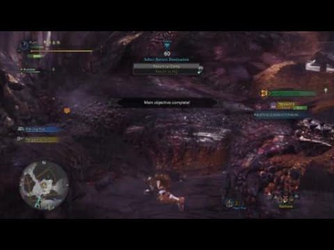 MHW: Killing nergi with the lance ASAP