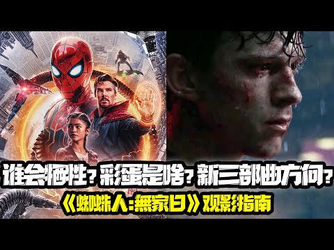 《蜘蛛人:無家日》你需要知道的10件事!誰會犧牲?彩蛋是啥?新三部曲方向？終極觀影指南 mcu Spider-Man: No Way Home