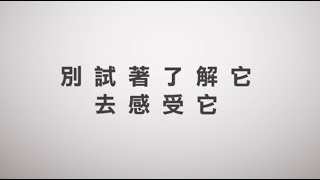 【台灣好農】逆時的葉酸蛋 #天能 #TENET