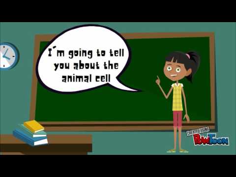 the animal cell.