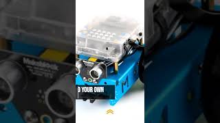 Entry-level Educational Programmable Robot