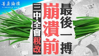 三中全會大招是分稅改革？分稅制是中共國家機密，財稅權下放地方會引發甚麼后果？新一輪搶錢運動開始，恐釀中國大亂【 #菁英論壇 】| #新唐人電視台 06/27/2024