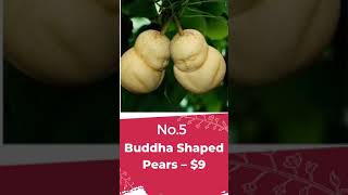 Top 5 Most Expensive  Fruits in the world. Export Import Business #soexpensive #shorts