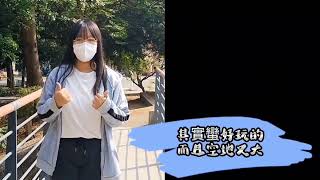 碉堡公園