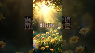 #正能量#人生哲學 #勵志語錄 #身心靈 #感 覺力量 #點燃動力#哲學思考 #宇宙  #能量療愈 #meditationmusic #love #深度自我覺察 #引導放鬆 #emptitation