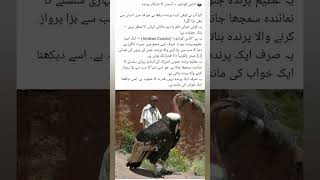 ‎❤️🥵❤️ informative video 😆😅🤓😆#kh #todaylateefa #urdujokes #funnylateefy #youtubeshort #yt#jokes#fyp‎